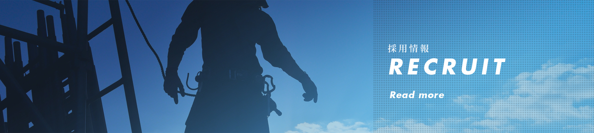 採用情報
